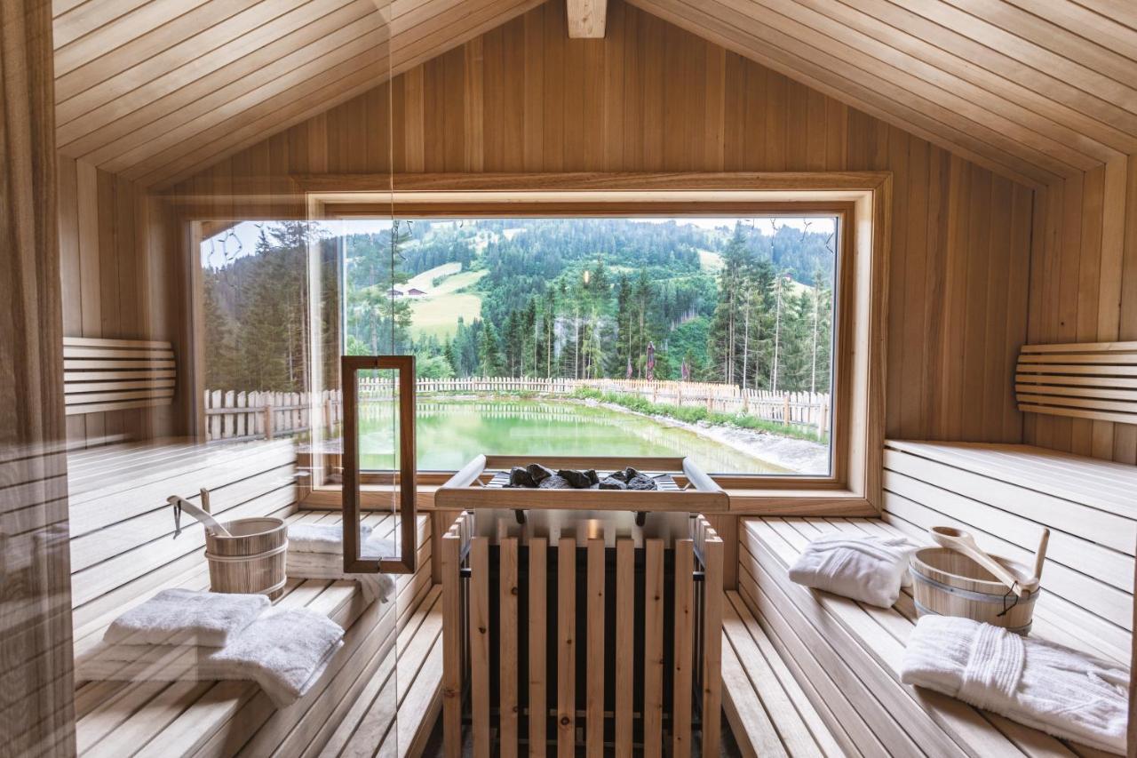 Bergseegut Chalet Und Apartment Wagrain Exterior photo